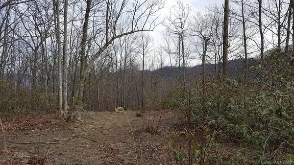 Black Mountain, NC 28711,CC-29 261 Nuthatch LN #CC-29