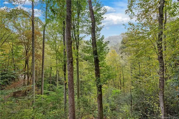 Black Mountain, NC 28711,4 Kimberly RD