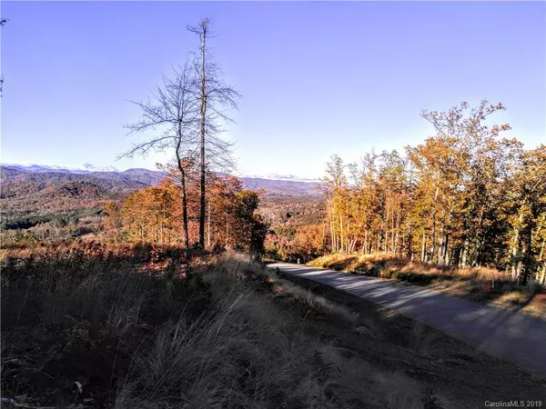 Lake Lure, NC 28746,0 Windswept PASS #16