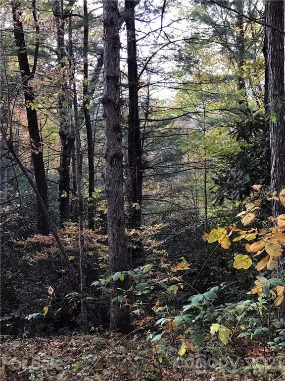 Lake Toxaway, NC 28747,tbd Falls View DR