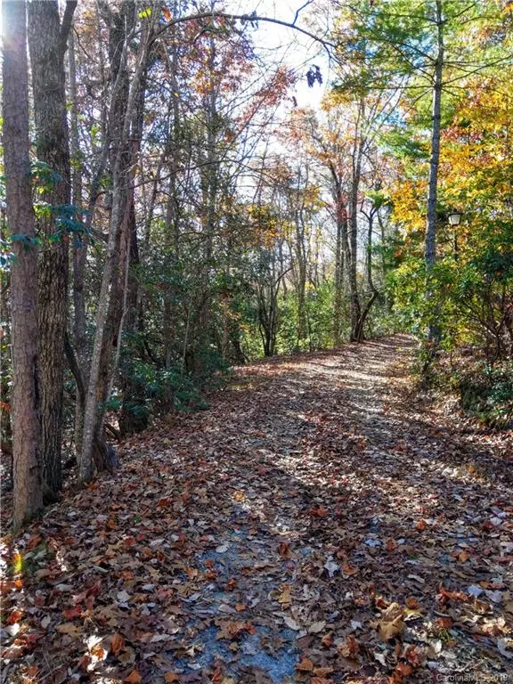 TBD Dogwood CIR #C3, Penrose, NC 28766