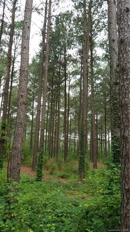 Blythewood, SC 29016,10 Ac Hidden Valley RD