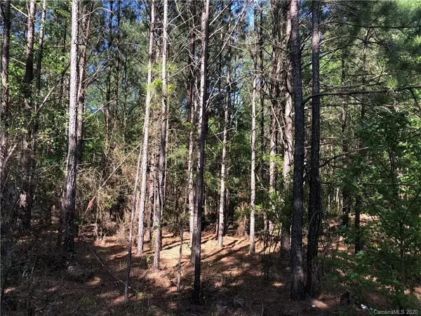 Blythewood, SC 29016,10 AC Hidden Valley RD