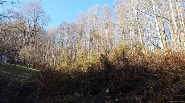 Sylva, NC 28779,000 Festival DR