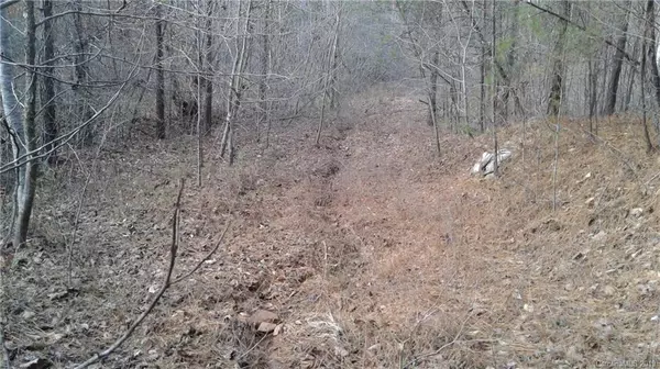 Nebo, NC 28761,VL NC Highway 226 HWY S