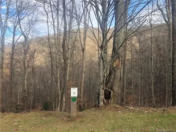 152 High Hickory Trail TRL #Lot 12, Swannanoa, NC 28778