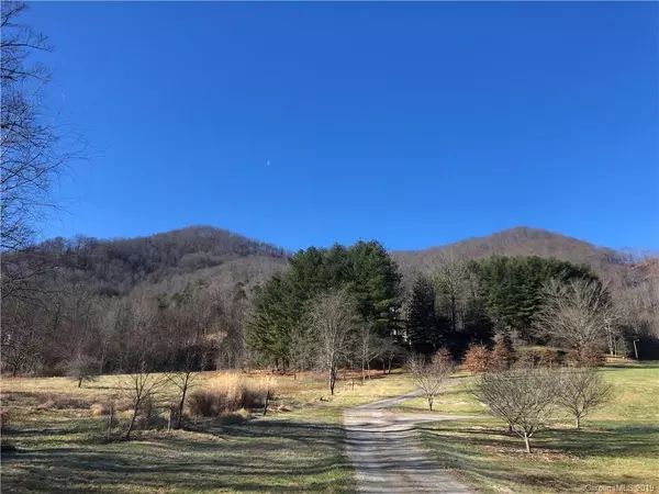 99999 Paint Fork RD #1, Barnardsville, NC 28709