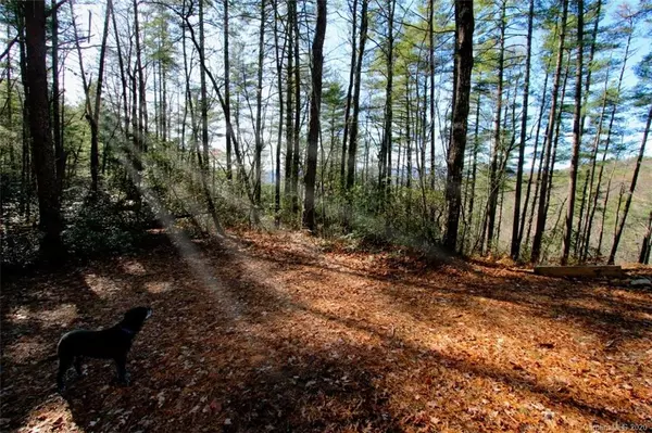 TBD Bear Pen Hollow RD #5, Rosman, NC 28712