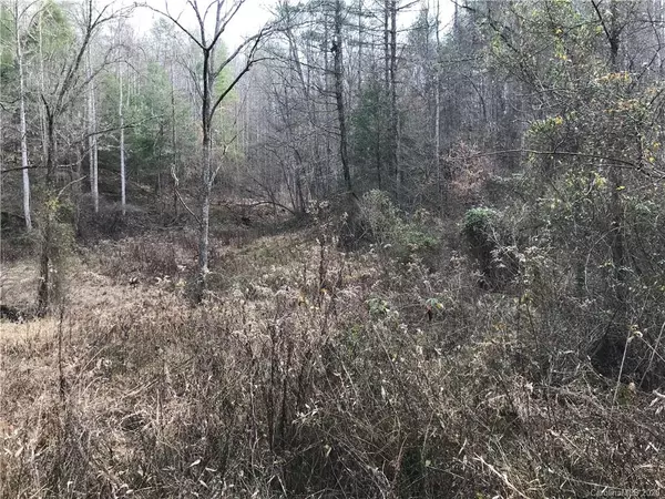 Hot Springs, NC 28743,99999 Hot Springs RD