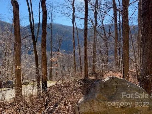 Chimney Rock, NC 28720,0000 Cascada Vista DR