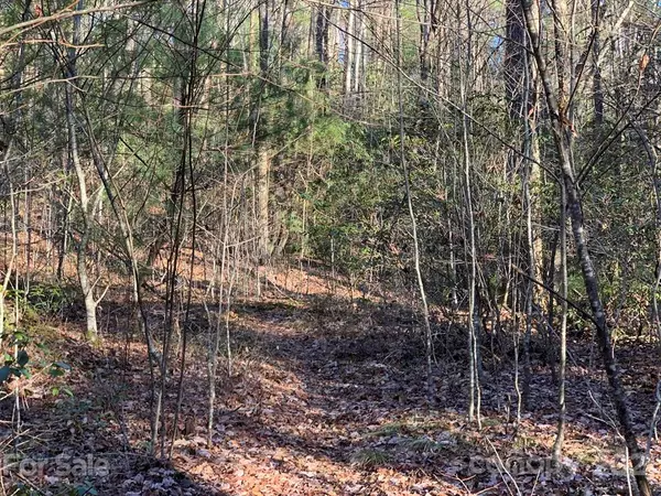 Rosman, NC 28772,Lot 14 Liz Reece RD #14