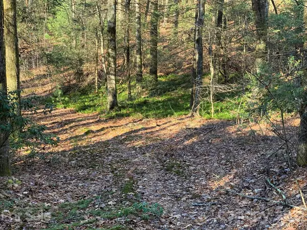 Rosman, NC 28772,Lot 14 Liz Reece RD #14