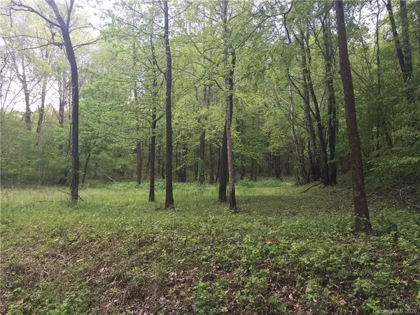 Tryon, NC 28782,000 Christopher RD #4