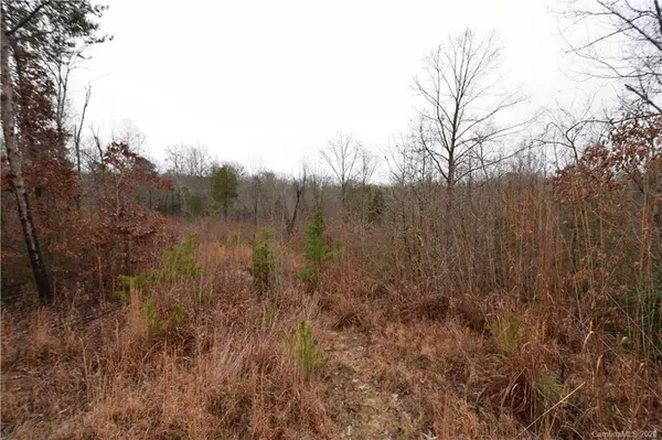 Bostic, NC 28018,00 Kiser RD