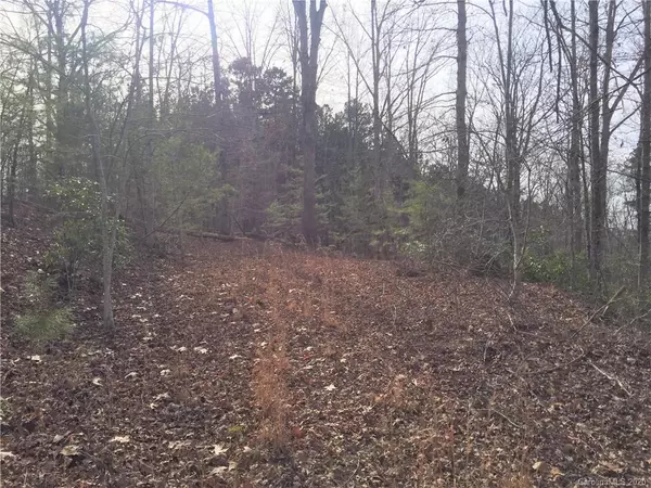 Rutherfordton, NC 28139,Lot #62 Bramblewood DR