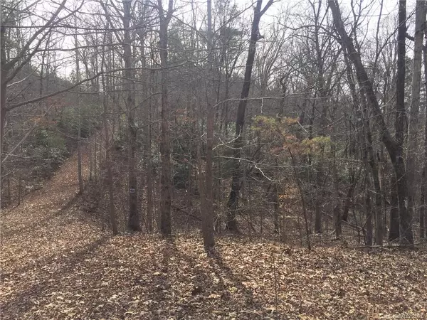 Rutherfordton, NC 28139,Lot #62 Bramblewood DR