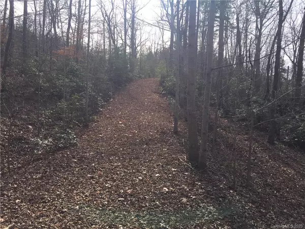 Rutherfordton, NC 28139,Lot #62 Bramblewood DR