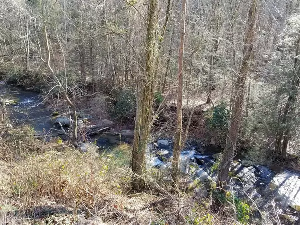 Saluda, NC 28773,1.23 Acres OFF Rivercove LN #4