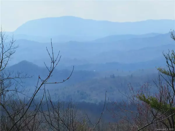 Pisgah Forest, NC 28768,2A Reserve RD #2A