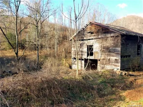 Hot Springs, NC 28743,149 Caldwell Branch RD