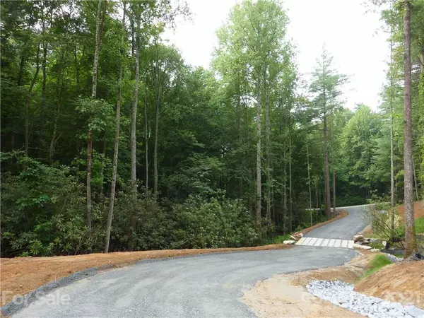 Pisgah Forest, NC 28768,0 Glen Cannon DR