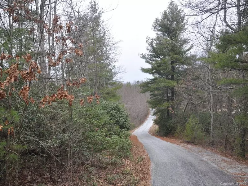 700 River Ridges RD #lot 2, Zirconia, NC 28790