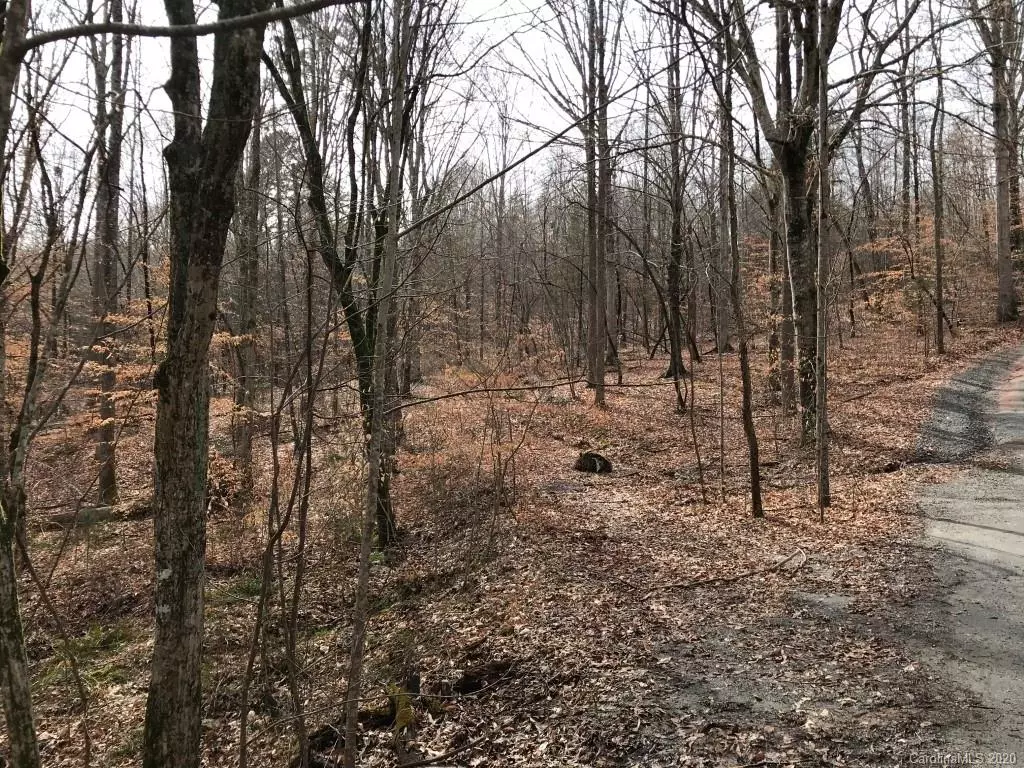 Rutherfordton, NC 28139,0 US 221N HWY N