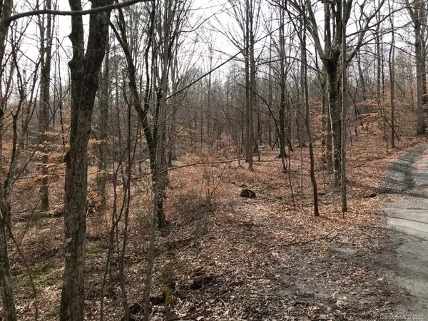 0 US 221N HWY N, Rutherfordton, NC 28139