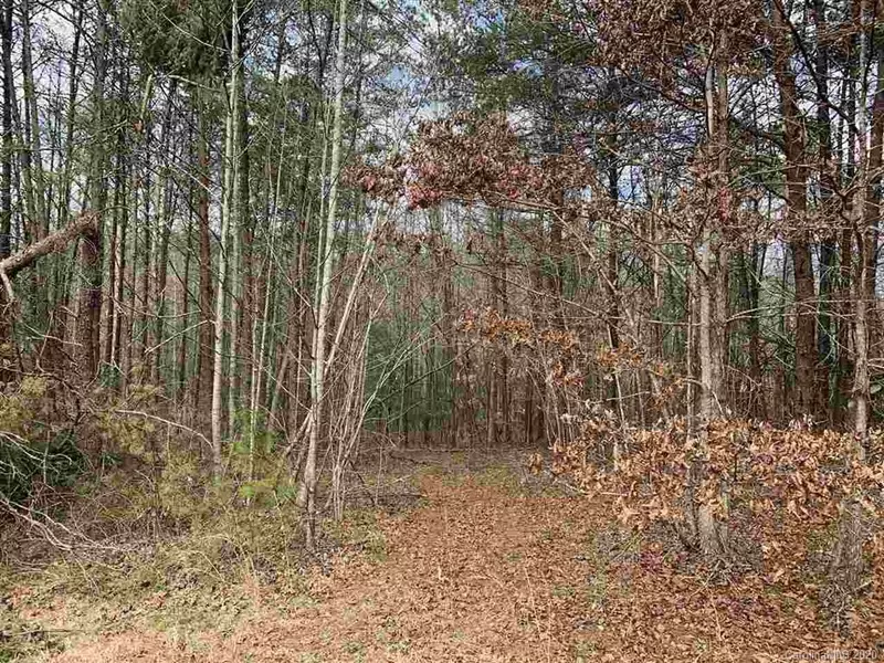 Lot 10 Stone Way LN, Rutherfordton, NC 28139