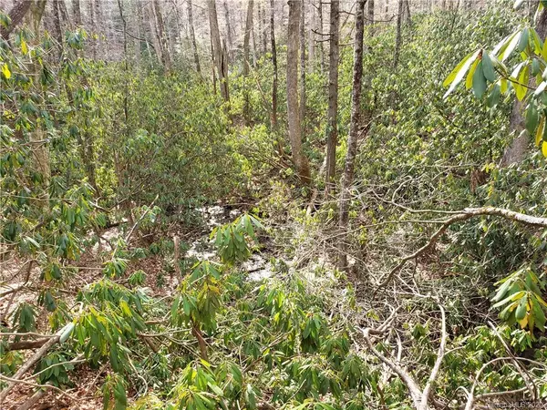 Tuckasegee, NC 28783,Lot 37 Rainbow Trout DR