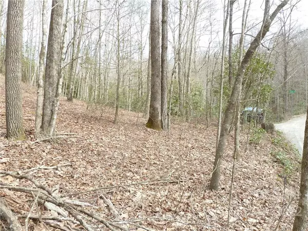 Rosman, NC 28772,0 Spring RD