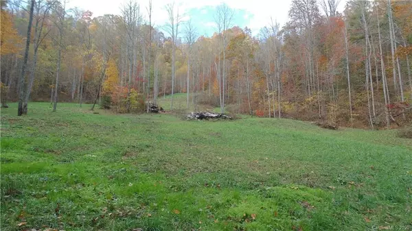 Marshall, NC 28753,1041 Heck Creek RD