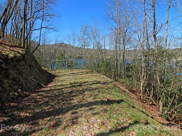 Tuckasegee, NC 28783,561 Vess Owen RD