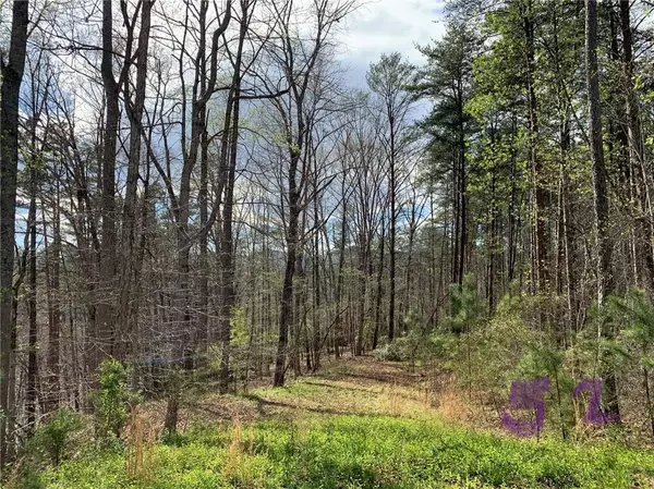 Rutherfordton, NC 28139,0 Shady Bark LN #Lot 52