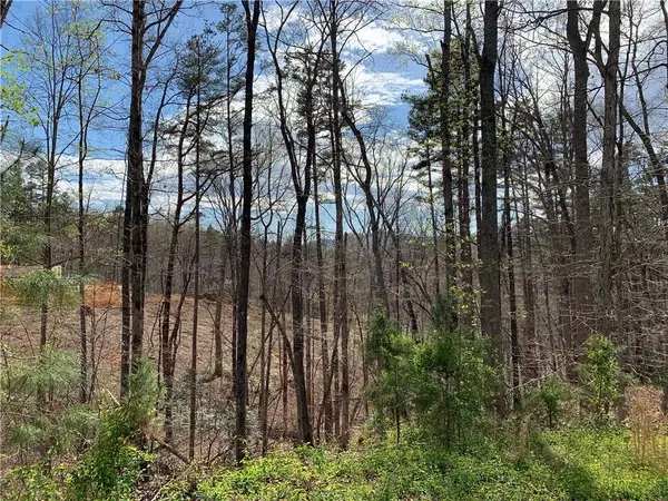 Rutherfordton, NC 28139,0 Shady Bark LN #Lot 52