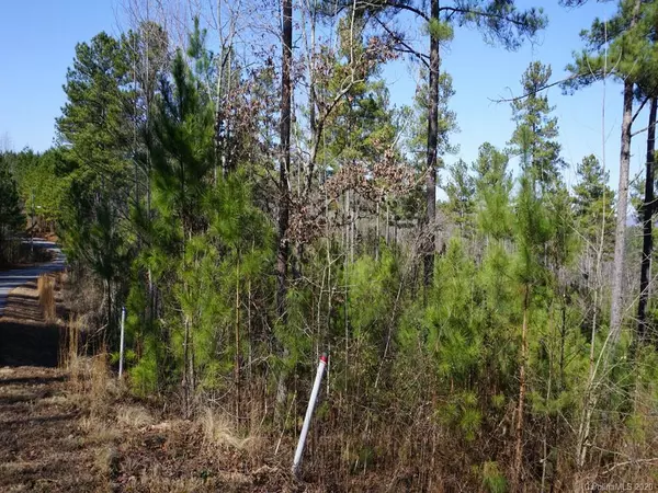 Rutherfordton, NC 28139,LOT 39 Cross Creek DR