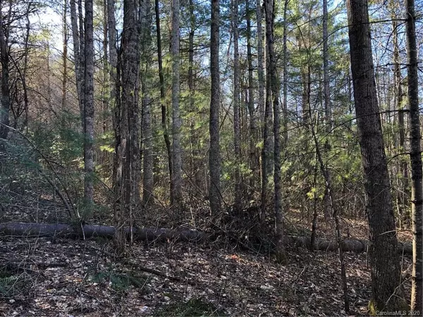 Fairview, NC 28730,9999 Brush Creek RD