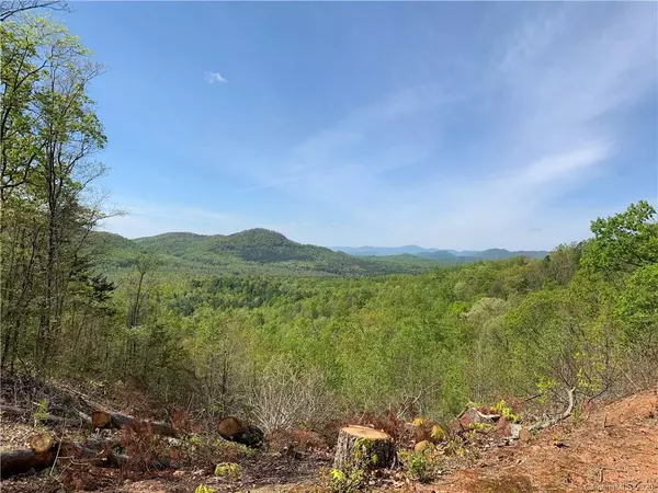 Nebo, NC 28761,Lot 45 Grandview Peaks None #45