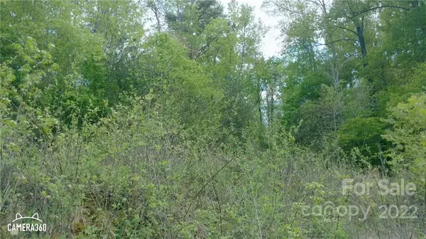 Rutherfordton, NC 28139,0 Coxe RD