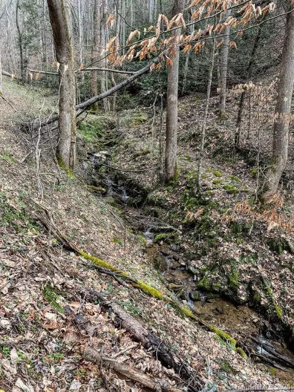 0 NC 212 HWY, Marshall, NC 28753