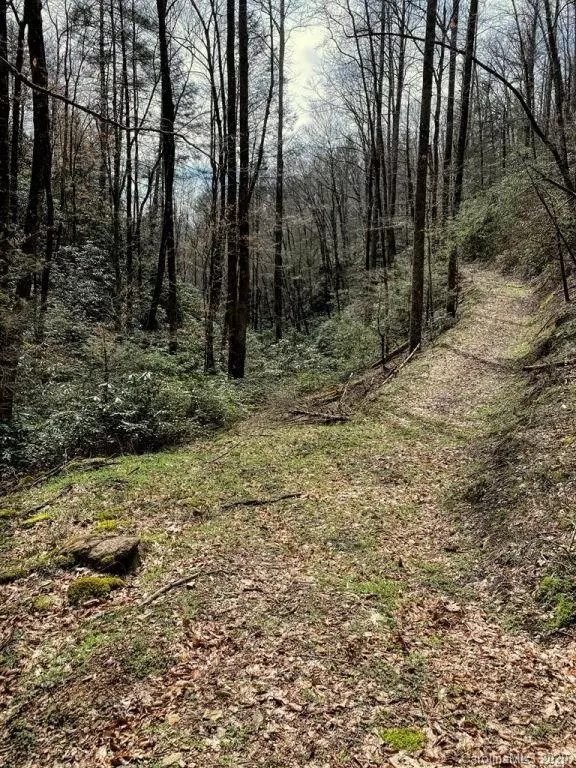 Marshall, NC 28753,0 NC 212 HWY