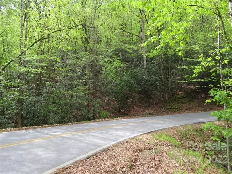 TBD Campbell DR, Pisgah Forest, NC 28768