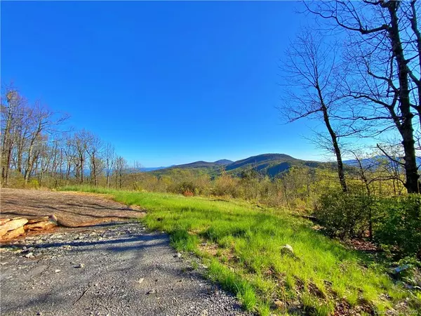 Black Mountain, NC 28711,9999 High Cliffs TRL #34