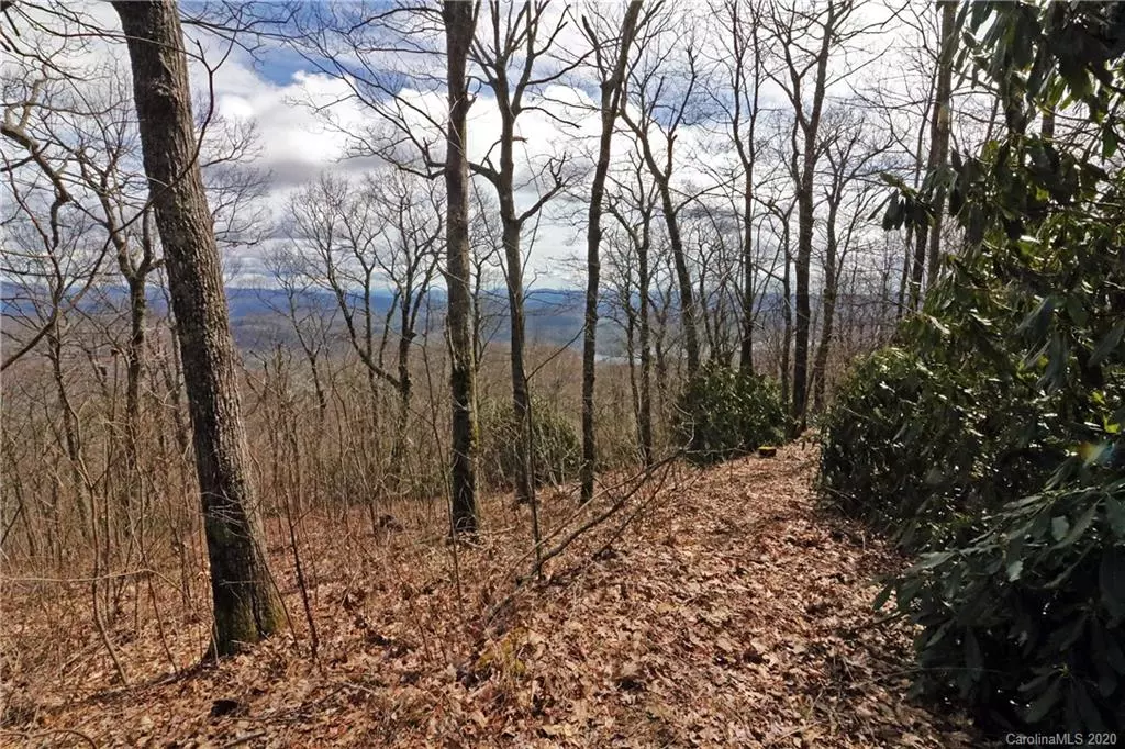 Lake Toxaway, NC 28747,Lot 11 Summit Ridge RD