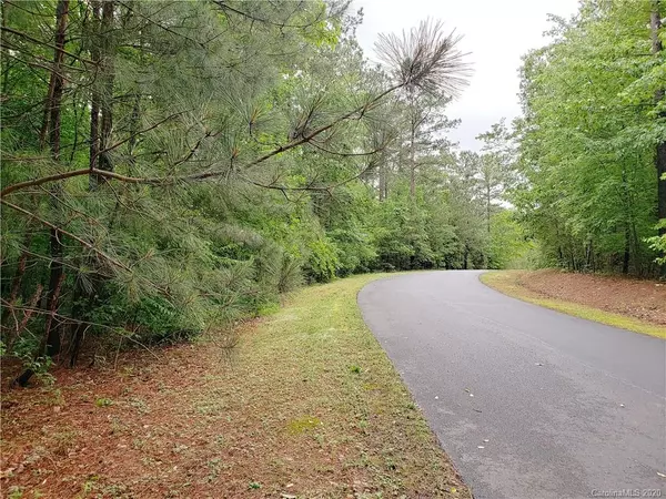 Mill Spring, NC 28756,00 Loblolly LN #23 & 24