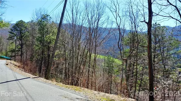 Waynesville, NC 28786,14 Hickory DR #14