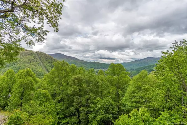 Maggie Valley, NC 28751,1426 Setzer Cove RD