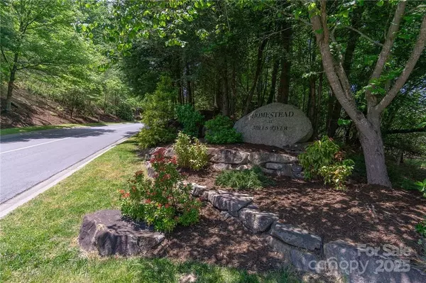 Horse Shoe, NC 28742,0 Mills River WAY #53R