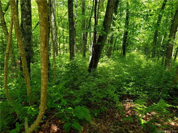 Balsam Grove, NC 28708,Lot 10 Forest TRL #10