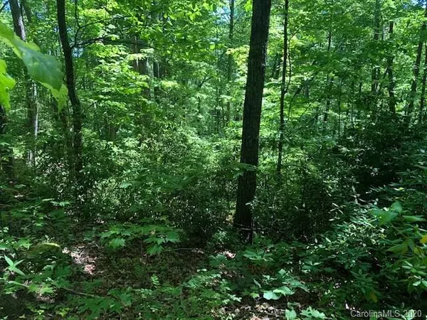 Black Mountain, NC 28711,Lot 4B Lower Flat Creek RD #4B